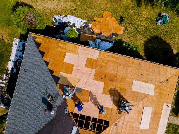 Best Roof Gutter Cleaning  in Tunkhannock, PA